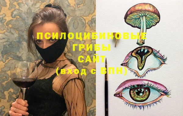 МДПВ Няндома