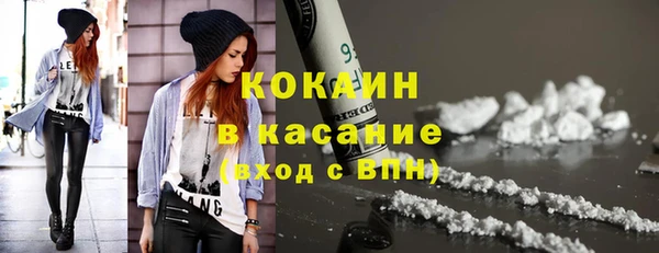 ГАЛЛЮЦИНОГЕННЫЕ ГРИБЫ Осинники