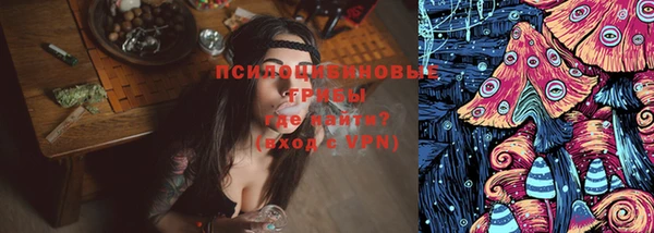 МДПВ Няндома