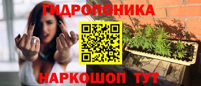 сатива Гагарин