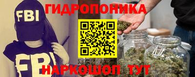 сатива Гагарин
