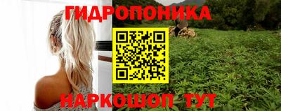 гашик Бугуруслан