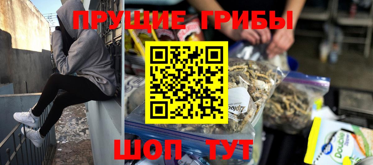 Псилоцибиновые грибы мицелий  Вход с VPN  как найти   Россошь 