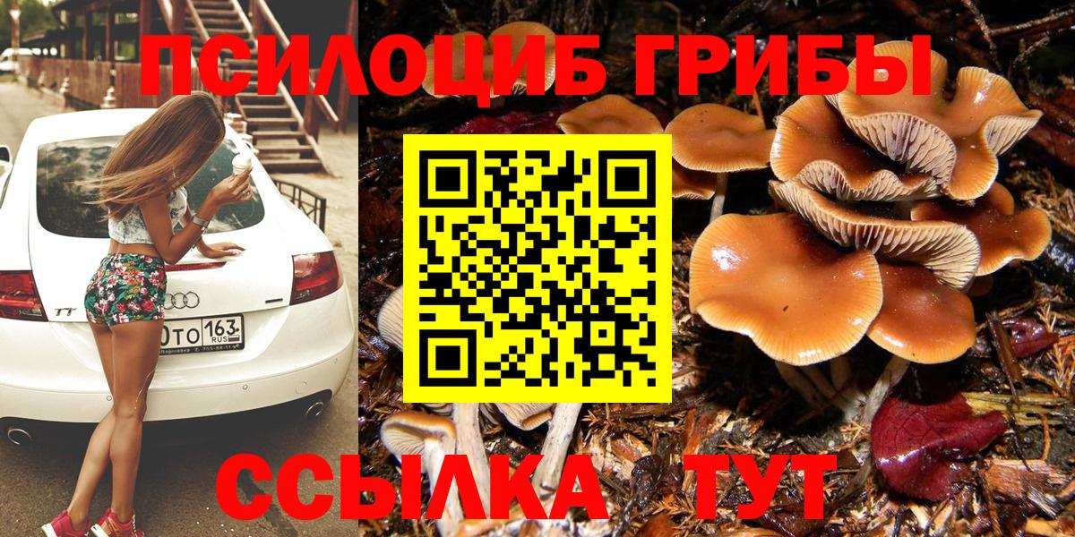 Галлюциногенные грибы GOLDEN TEACHER Россошь